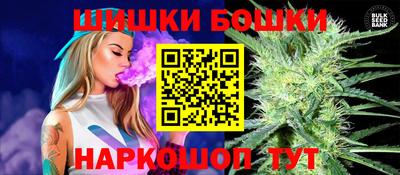 индика Дубна