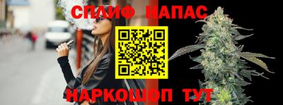индика Дубна