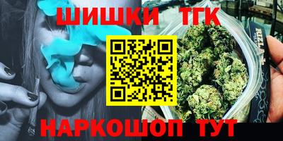 индика Дубна
