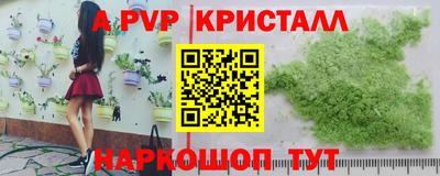 крисы Донской