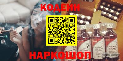 индика Дубна