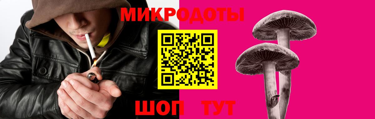 Галлюциногенные грибы Cubensis  Вход с VPN  Каспийск  Псилоцибиновые грибы прущие грибы 