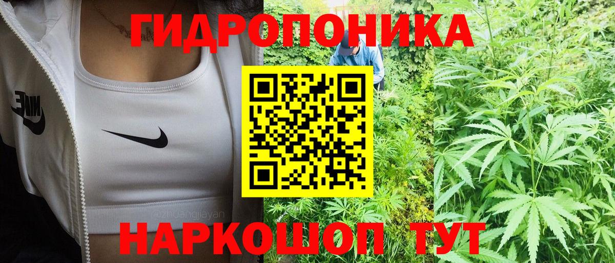 Шишки марихуана MAZAR  МАРИХУАНА сатива  Каспийск  Вход с VPN 
